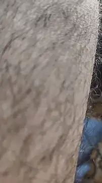 niyack69 online show from January 31, 2026, 11:03 pm