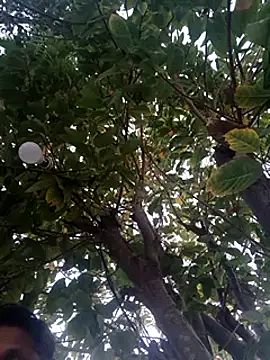 carria homes online show from February 20, 2025, 5:09 pm