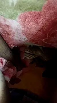 Snapshot of biharihot chatting on December 31, 2024, 4:57 pm biharihot online show from December 31, 2024, 4:57 pm