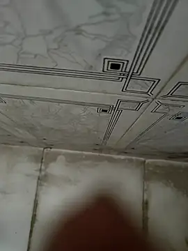 Snapshot of dreamers_dick chatting on January 4, 2025, 8:06 am dreamers dick online show from January 4, 2025, 8:06 am