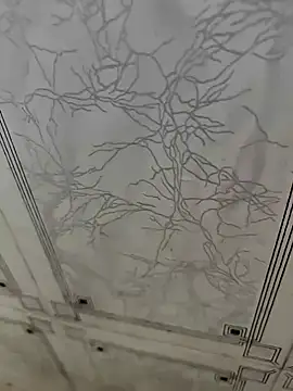 Snapshot of dreamers_dick chatting on January 2, 2025, 5:24 am dreamers dick online show from January 2, 2025, 5:24 am