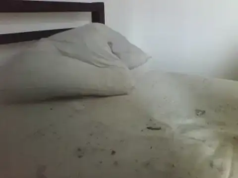 horndude187187 online show from January 1, 2025, 11:05 am