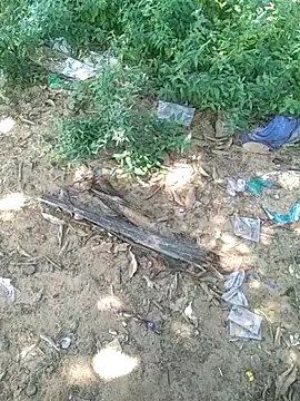 teluguu-rajj online show from October 21, 2025, 6:46 am