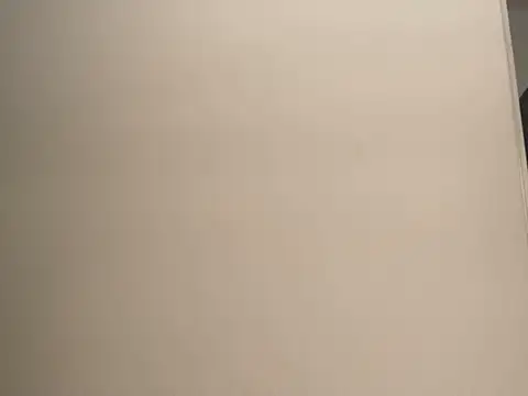 Snapshot of JoaoLenhador chatting on March 5, 2025, 2:36 am JoaoLenhador online show from March 5, 2025, 2:36 am