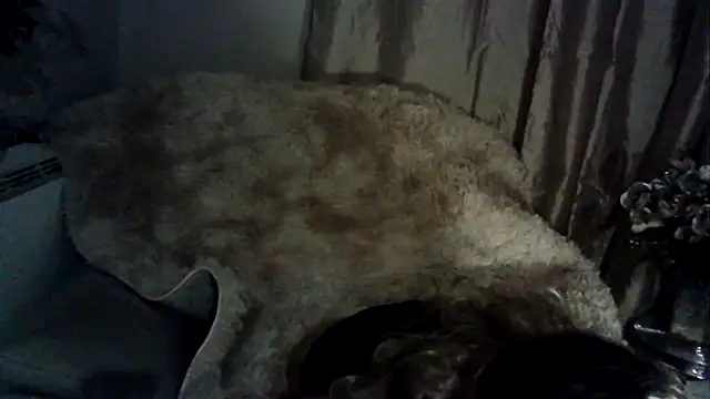 ImogenBrooke online show from February 15, 2025, 12:37 am