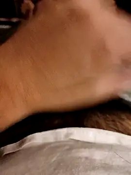 Snapshot of pitorico_bb chatting on March 11, 2025, 4:41 am pitorico bb online show from March 11, 2025, 4:41 am