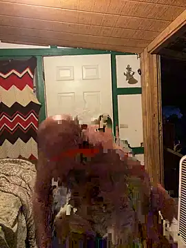 32XRedBeard online show from April 19, 2026, 10:38 am