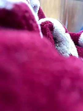 BCFZD online show from November 25, 2025, 1:22 pm