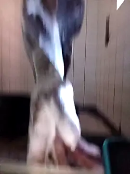 Dube501 online show from October 12, 2025, 5:42 am