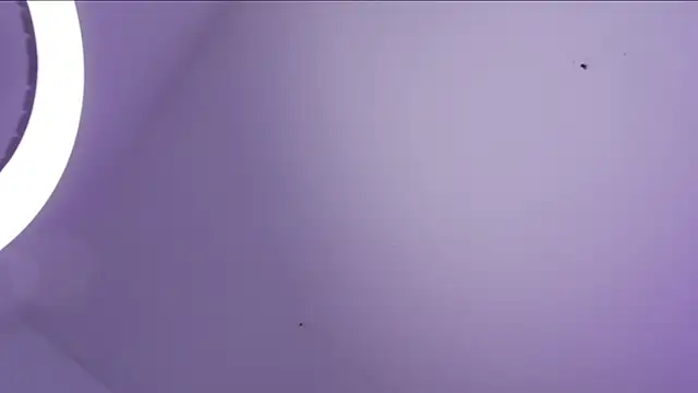 CleeoAdams  online show from March 27, 2026, 8:26 am