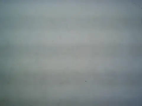 Snapshot of michel1520 chatting on July 16, 2026, 11:29 am michel1520 online show from July 16, 2026, 11:29 am