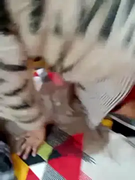 rameshjisex online show from December 2, 2025, 3:47 pm