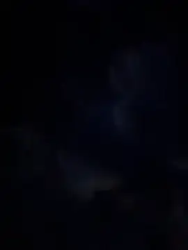 Snapshot of Miia_Jazmin chatting on January 13, 2026, 11:03 am Miia Jazmin online show from January 13, 2026, 11:03 am