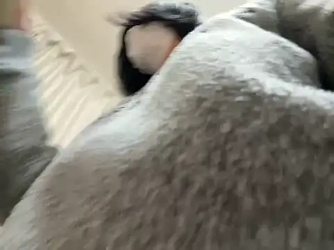 Snapshot of riri_riri_jp chatting on February 28, 2026, 10:26 am riri riri jp online show from February 28, 2026, 10:26 am