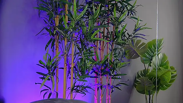 Snapshot of PatriciaSpice chatting on November 9, 2025, 5:22 am PatriciaSpice online show from November 9, 2025, 5:22 am