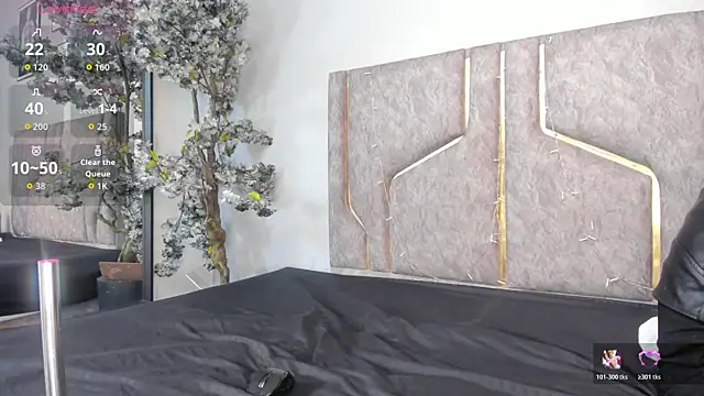 Liincostelloo online show from January 11, 2026, 1:40 pm