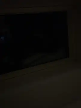 wyattstone online show from February 20, 2026, 4:20 am