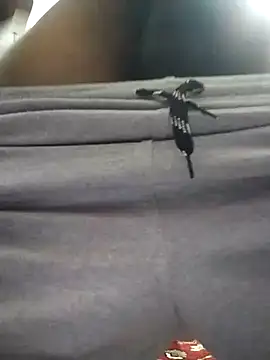 knightwolf9935 online show from January 30, 2025, 12:48 pm