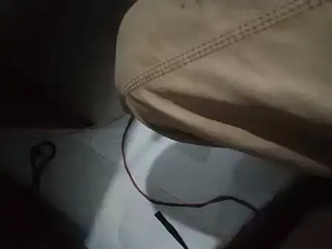 world bigdick1 online show from November 29, 2025, 2:39 pm