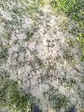 Snapshot of xmanrawan2 chatting on March 14, 2025, 11:34 am xmanrawan2 online show from March 14, 2025, 11:34 am