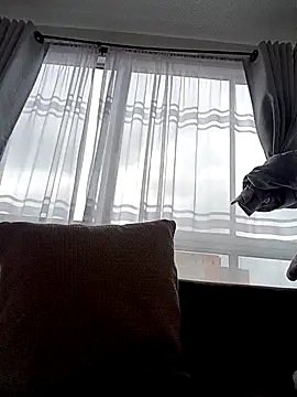 Snapshot of bri_ali chatting on March 8, 2025, 6:05 pm bri ali online show from March 8, 2025, 6:05 pm