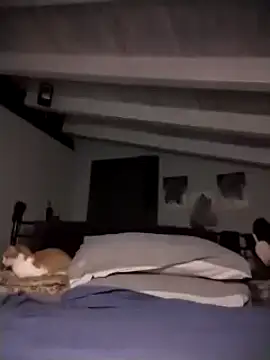 Snapshot of divinaerotica chatting on November 17, 2025, 5:28 pm divinaerotica online show from November 17, 2025, 5:28 pm