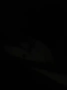 Snapshot of Dantee_Stone chatting on February 12, 2025, 5:26 am Dantee Stone online show from February 12, 2025, 5:26 am