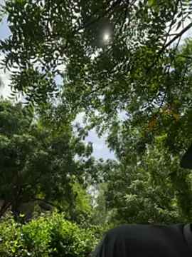 arevalo1124 online show from December 18, 2025, 3:27 pm