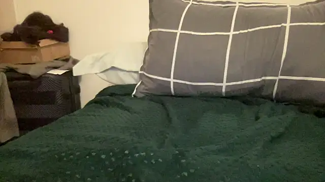 shineofcrazy online show from November 21, 2025, 12:31 am