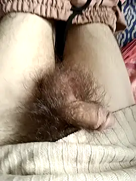 Snapshot of LustHaven-Sigma chatting on February 6, 2025, 1:49 am LustHaven-Sigma online show from February 6, 2025, 1:49 am