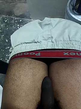 omni 333 online show from February 11, 2026, 12:38 pm