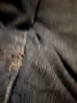 Snapshot of Dam70 chatting on November 2, 2025, 7:30 pm Dam70 online show from November 2, 2025, 7:30 pm