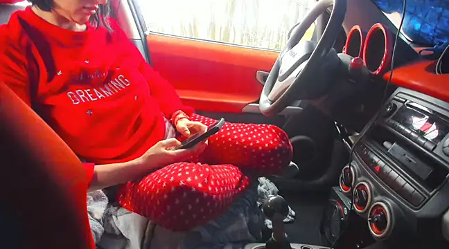 Fairy outdoor online show from March 2, 2025, 11:19 am