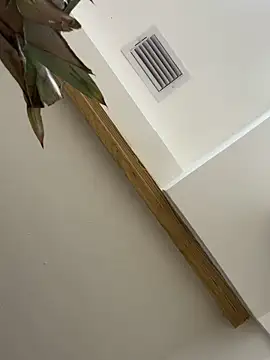 Bicho13132 online show from October 5, 2025, 6:26 am