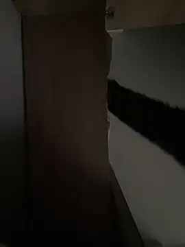 Snapshot of AngelRuby chatting on February 8, 2026, 12:03 pm AngelRuby online show from February 8, 2026, 12:03 pm