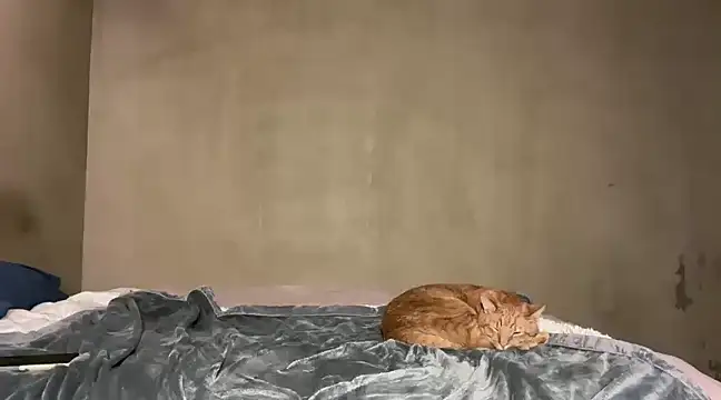 Snapshot of SophieStarShine chatting on March 9, 2025, 10:52 pm SophieStarShine online show from March 9, 2025, 10:52 pm