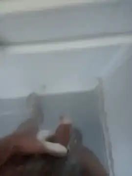 bigcockturk3 online show from February 12, 2025, 7:13 pm