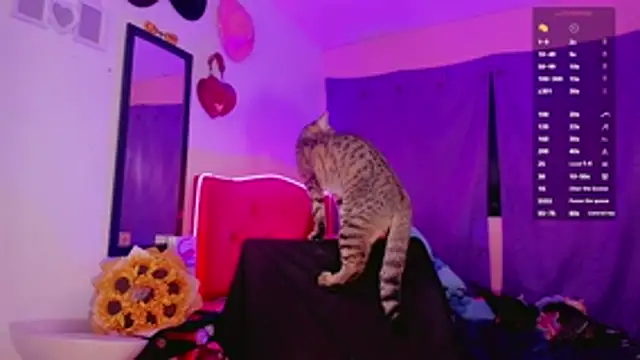 Snapshot of val_princes chatting on December 5, 2025, 11:42 am val princes online show from December 5, 2025, 11:42 am