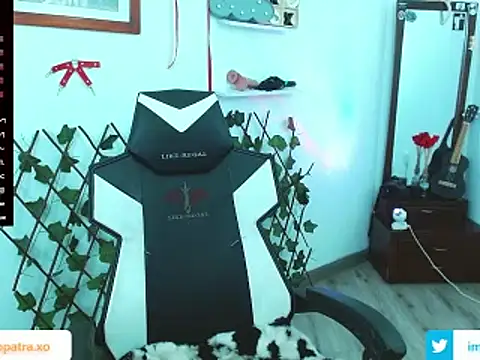 Snapshot of imcleo_xoxo chatting on February 21, 2025, 9:00 pm imcleo xoxo online show from February 21, 2025, 9:00 pm