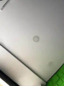 Dulce  Boyd online show from March 14, 2026, 2:34 pm