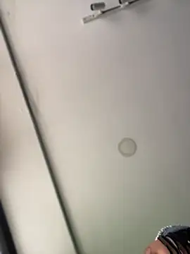 Dulce  Boyd online show from February 14, 2026, 2:06 pm