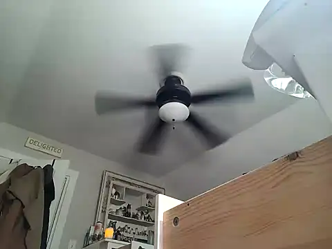 gronammo85 online show from February 22, 2025, 10:18 am