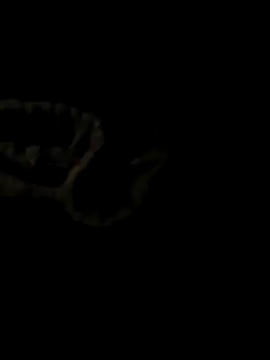 Snapshot of ShysluutGia chatting on October 21, 2025, 9:25 pm ShysluutGia online show from October 21, 2025, 9:25 pm