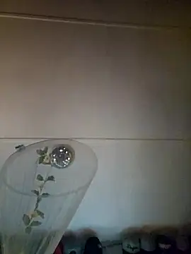 Snapshot of ShysluutGia chatting on September 25, 2025, 6:14 pm ShysluutGia online show from September 25, 2025, 6:14 pm