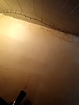 birdg online show from October 27, 2025, 7:15 pm