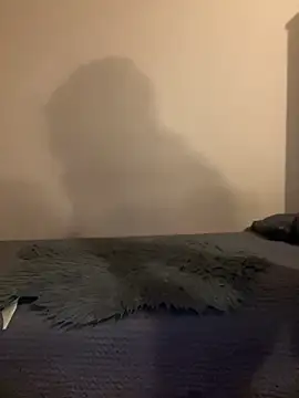 Budibudi5 online show from November 19, 2025, 4:56 am