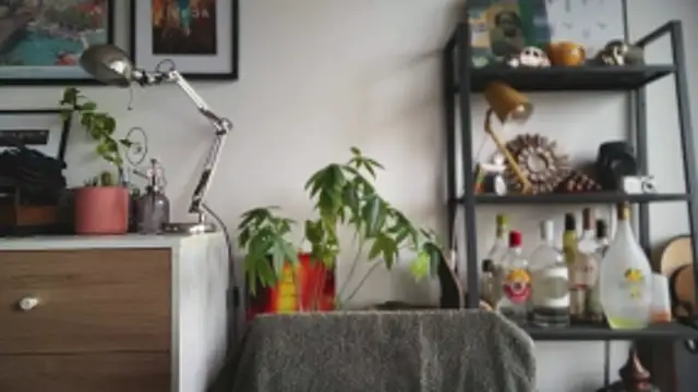 Snapshot of MikymikeBBWD chatting on February 24, 2026, 2:18 pm MikymikeBBWD online show from February 24, 2026, 2:18 pm