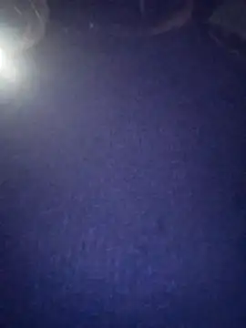 Snapshot of PPP_25 chatting on November 4, 2025, 7:50 pm PPP 25 online show from November 4, 2025, 7:50 pm