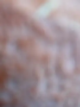 maialani online show from October 4, 2025, 9:33 am