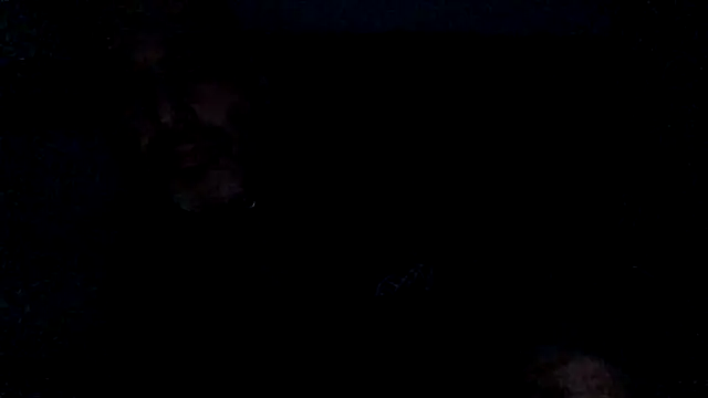 Snapshot of Novabear6996 chatting on February 28, 2025, 10:30 am Novabear6996 online show from February 28, 2025, 10:30 am